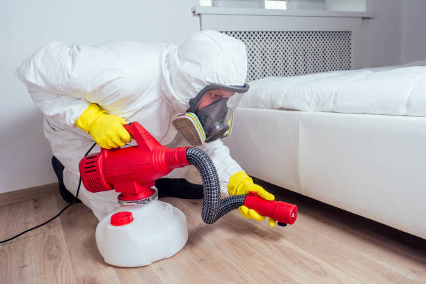 Best Fumigation Services  in Mount Carroll, IL